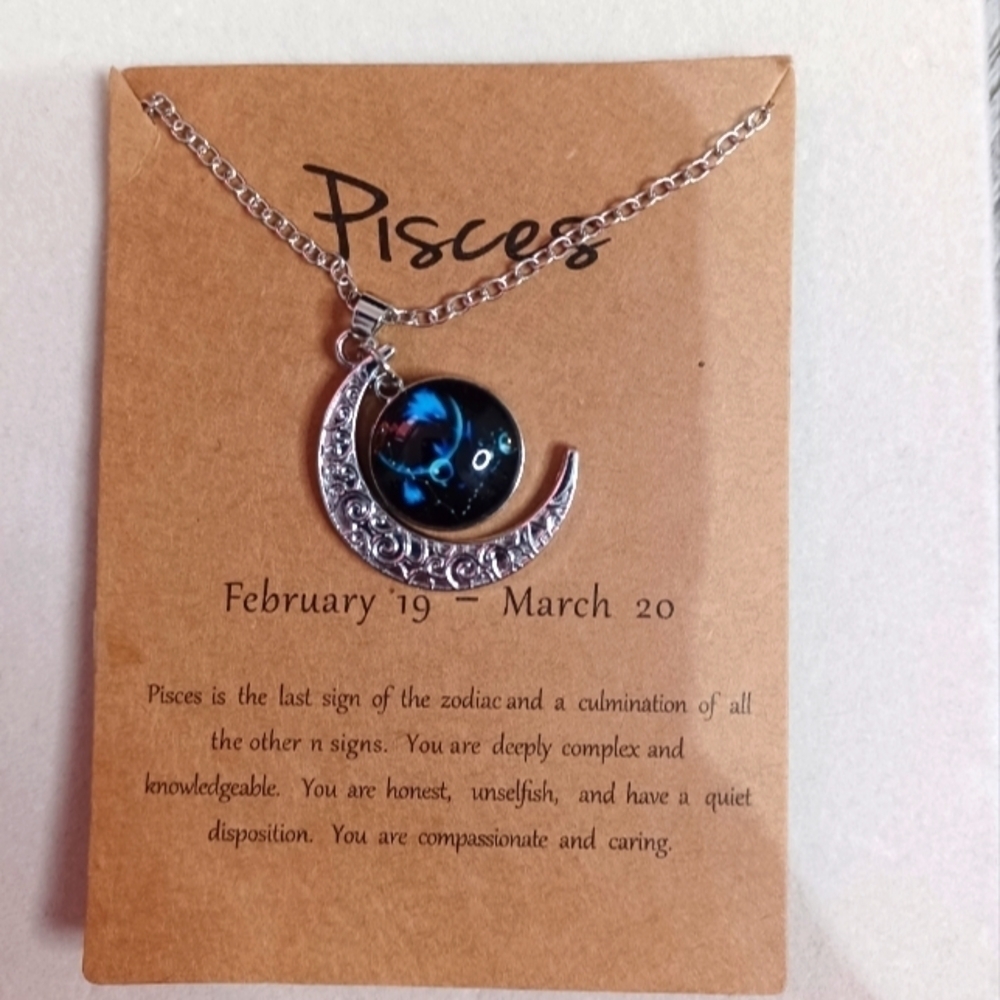 NWT Pisces Mon Constellation Silver Tone Necklace